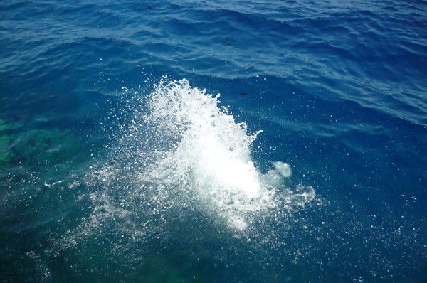 Андрей Соловьев