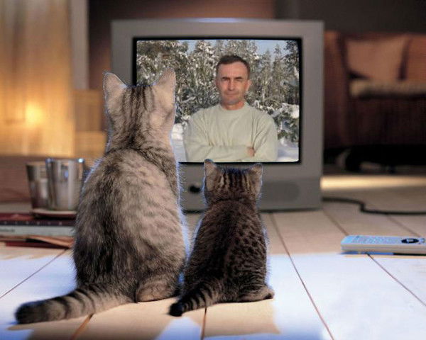 Володя Горлов