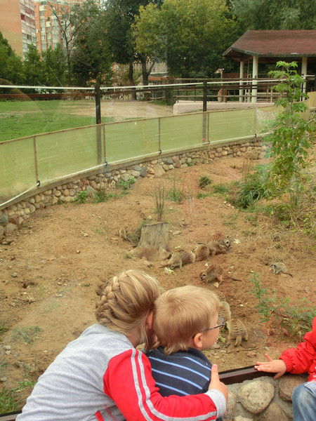 Алла Белова