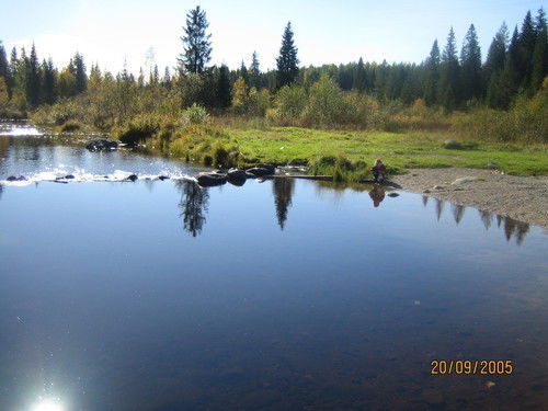 Алина Головина
