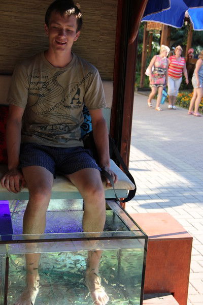 Алексей Скворцов