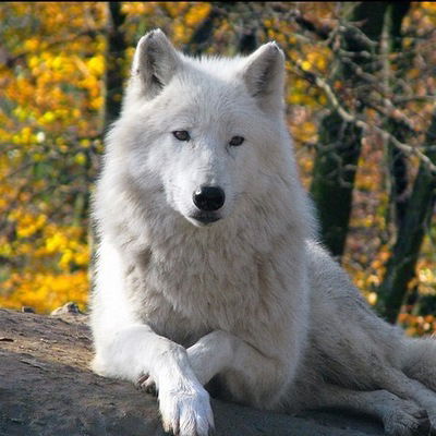 Анастасия Жукова