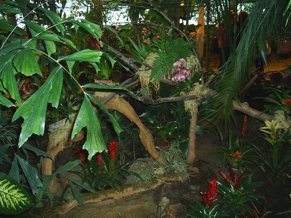 Оксана Жучкова