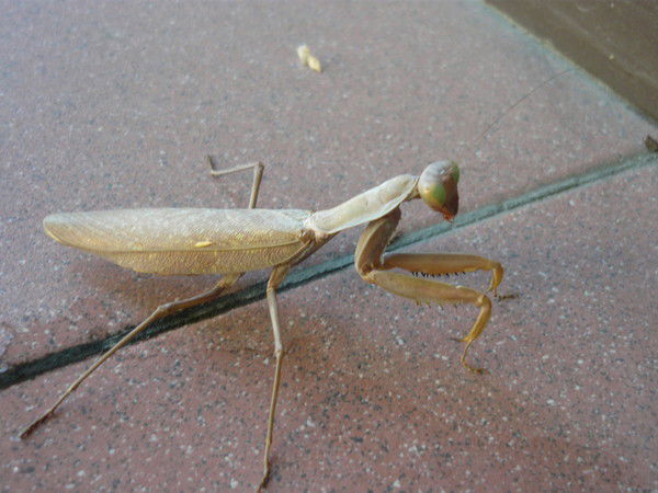 Сергей Долгов