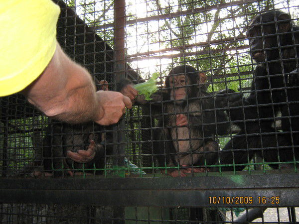 Михаил Кукаренко