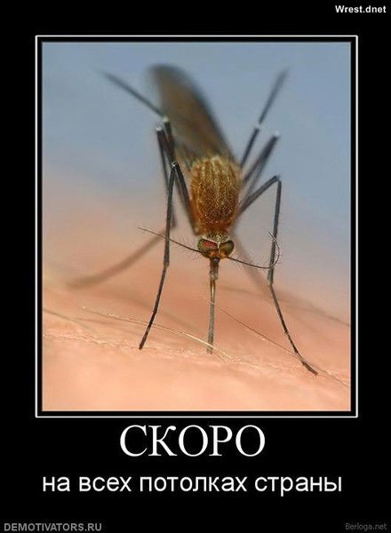 Станислав Авдиенко