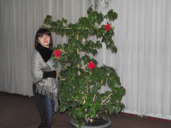 Татьяна Акатьева