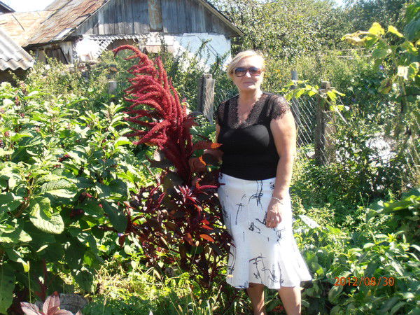 Наталья Адамс