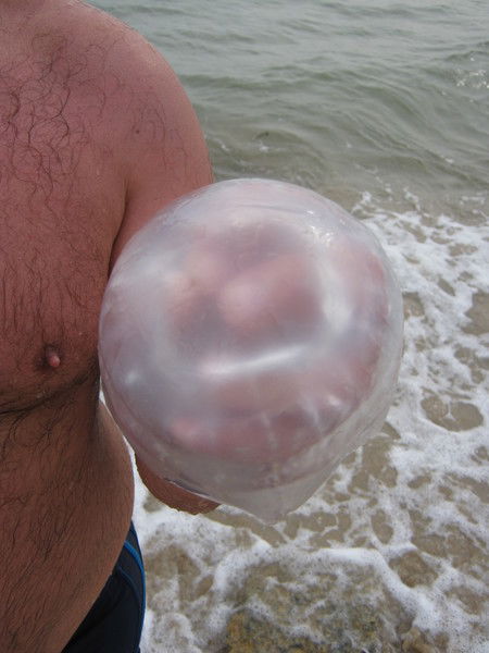 Виктор Сидоров