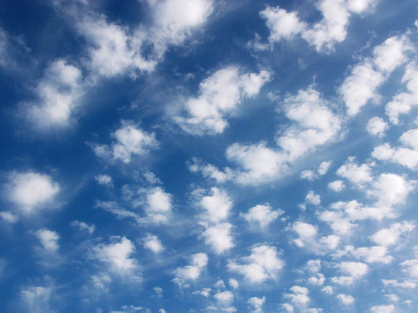 Алёна Алатырская