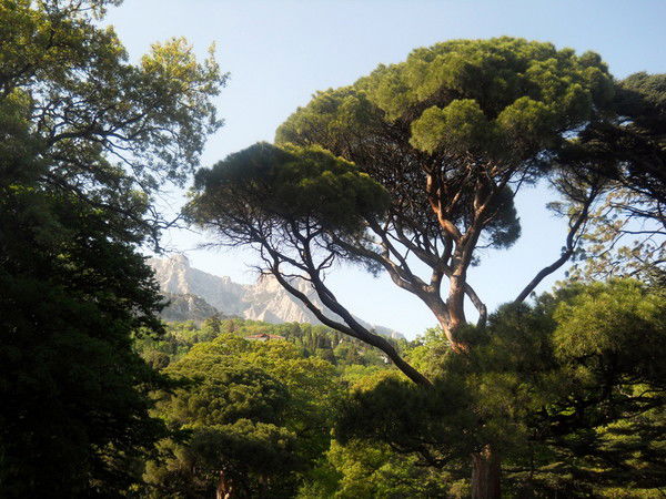 Юлия Сергеева