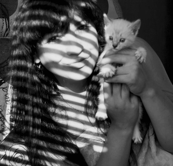 Алинка Kittens