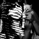 Алинка Kittens
