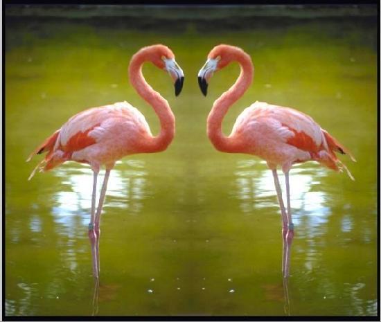 Нургуль Мубаракова