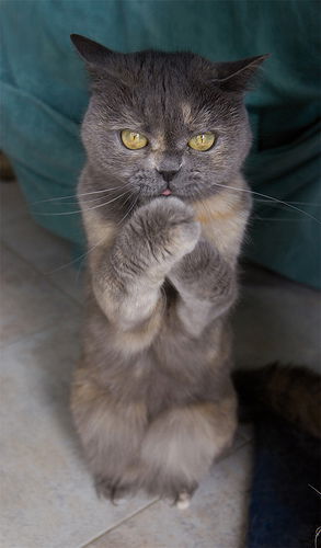 Елена Валерьевна Химич