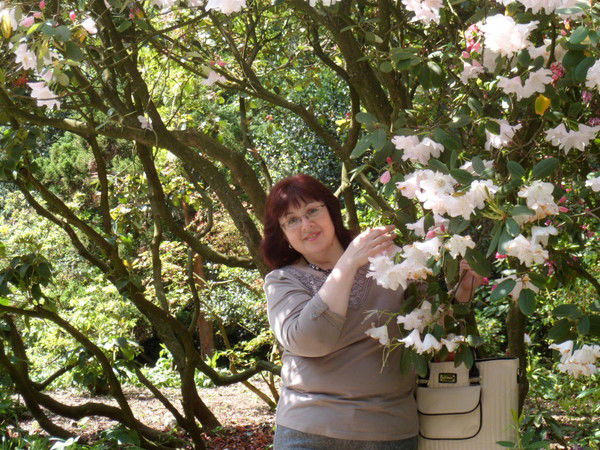 Ирина Точилкина