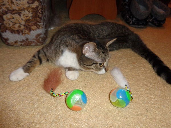 Сергей Сабуров