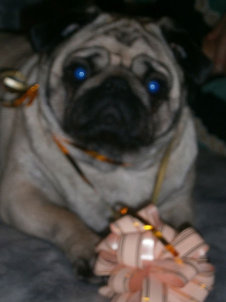 Ирина Гайдук