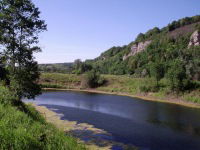 Михаил Заболотский