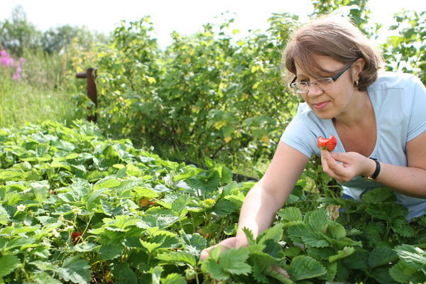 Людмила Дроздова