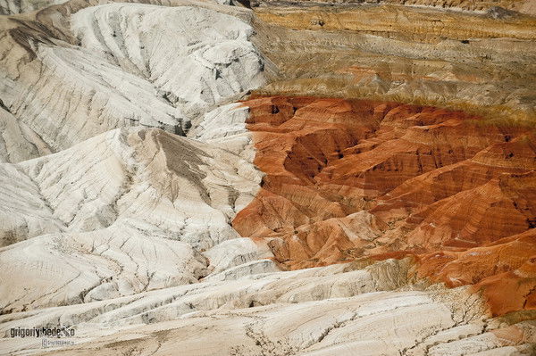 Татьяна Полухина