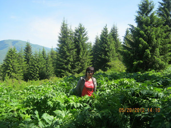 Лэйла Мамырханова