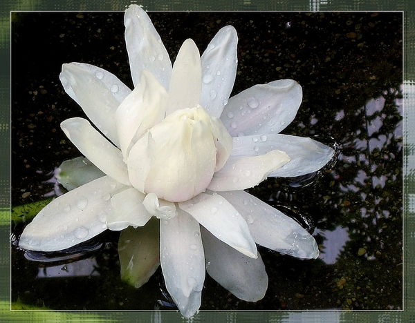 Наташа Никишина