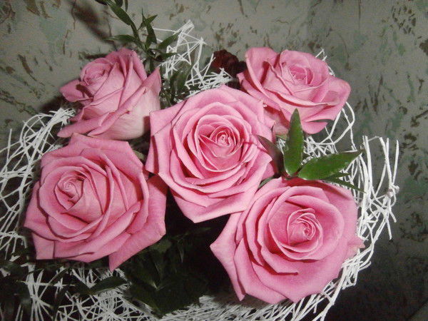 Елена Якупова