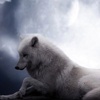 Нина Кондратьева