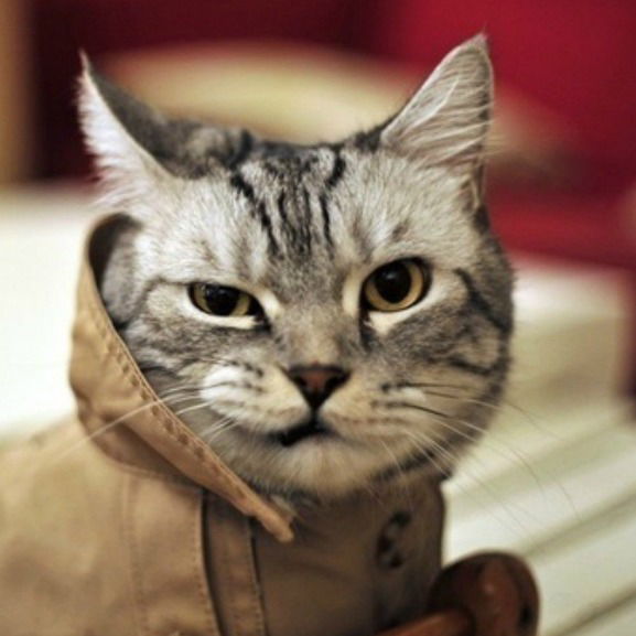 Александр Синицын