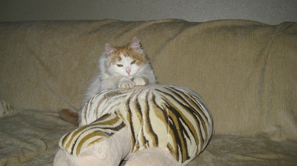 Владимир Соснов