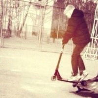 Серый Попов