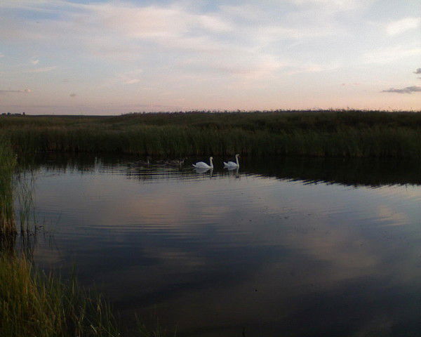 Сырым Исатаев