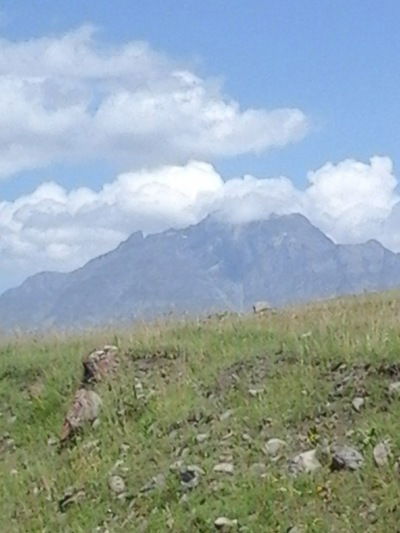 Эсмира Алиева