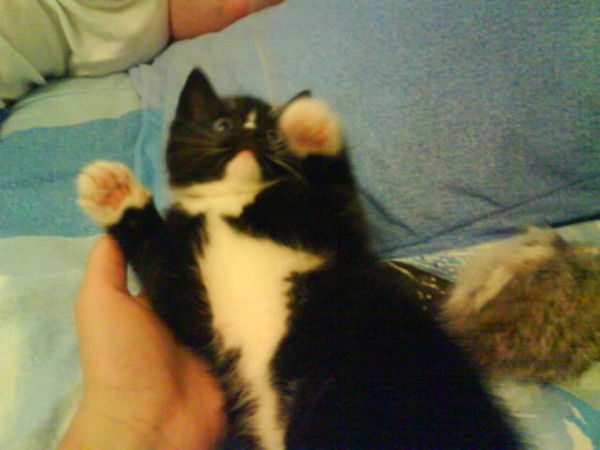 Натулька Терентьева