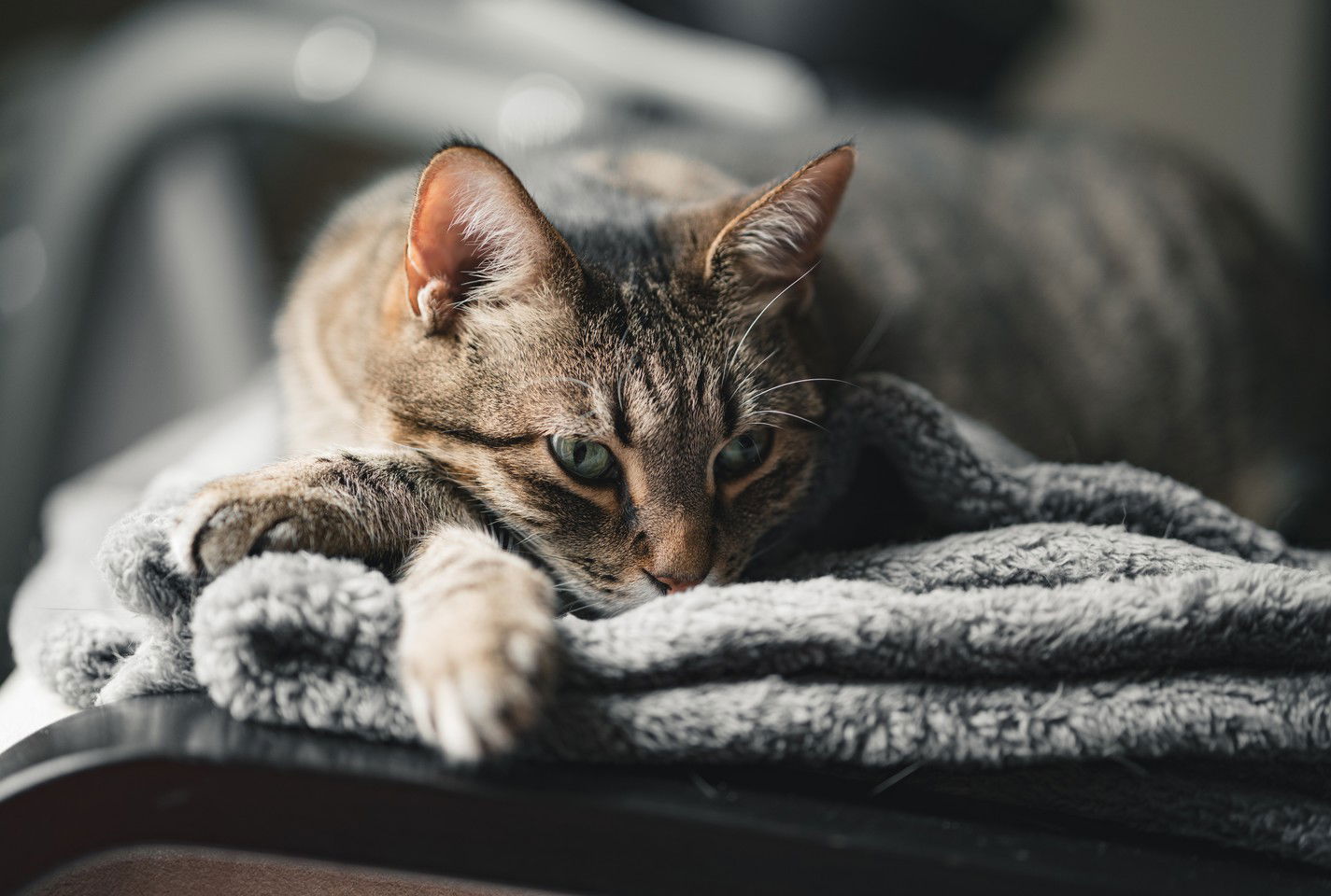 Таисия Маничева