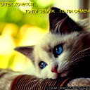 Наталья Алексеева