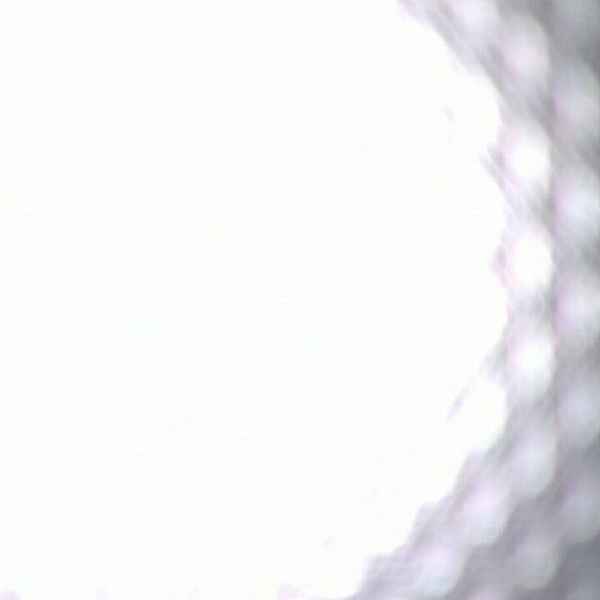 Светлана Гаврикова