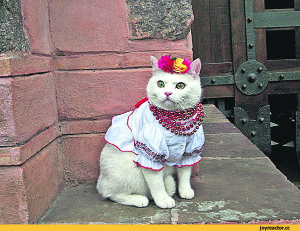 Зоя Максименко