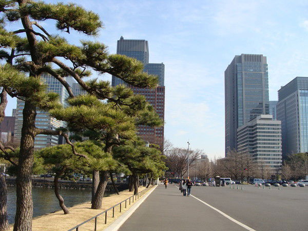 Фрутекс Ооо Фрутекс