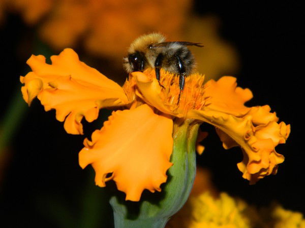 Любовь Титова-Мартынова