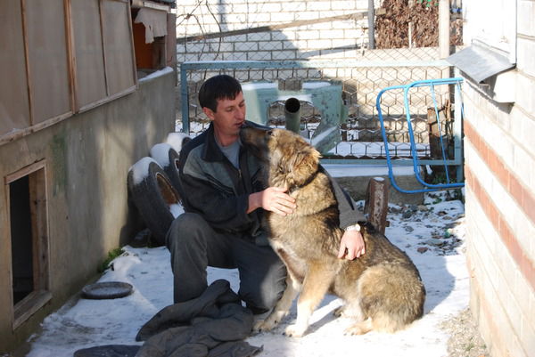 Андрей Игошин