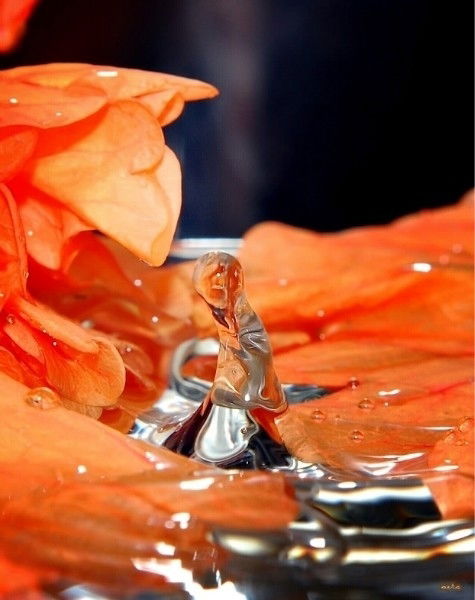 Ирина Бикмурзина