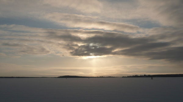 Елена Александрова