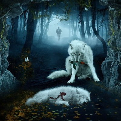 Роман Липин