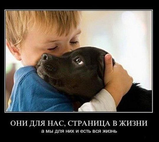 Дамир Наргужинов