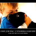 Дамир Наргужинов