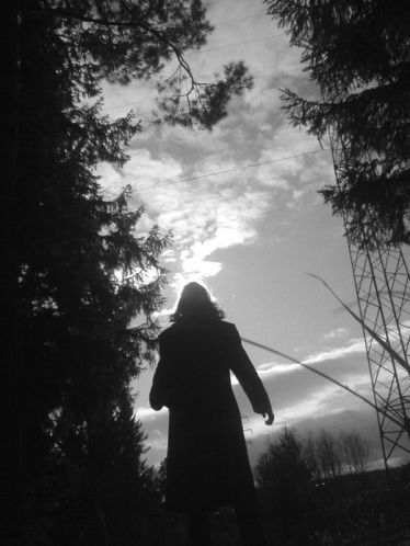 Владимир Странник