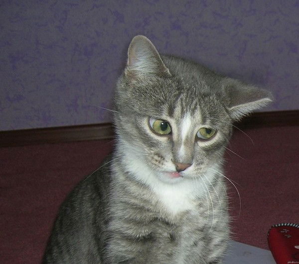 Екатерина Дымант