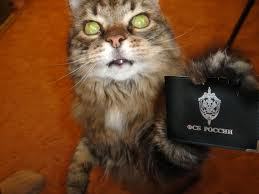 Андрей Обратенко